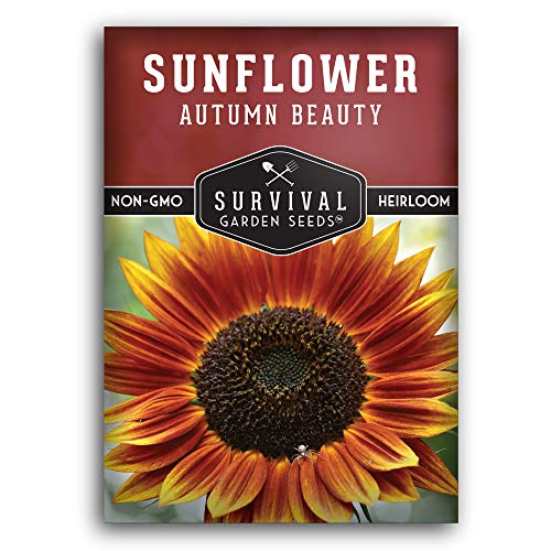 Survival Garden Seeds - Autumn Beauty Sunflower Seed for Planting - Packet with Instructions to Plant and Grow Beautiful and Colorful Flowers in Your Home Vegetable Garden - Non-GMO Heirloom Variety