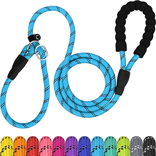 TagME 6 FT Slip Lead Dog Leash,12 Colors,Reflective Strong Rope Slip Leash with Padded Handle,Durable No Pulling Pet Training Leash for Large Dogs,Sky Blue