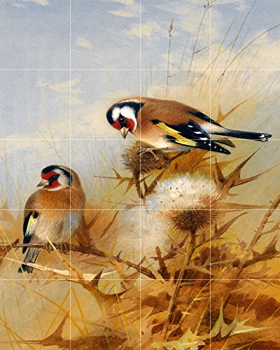 Tile Mural Bullfinches by Archibald Thorburn Birds Sky Grass Seeds bur Kitchen Bathroom Shower Wall Backsplash Splashback 4x5 4.25" Ceramic, Glossy