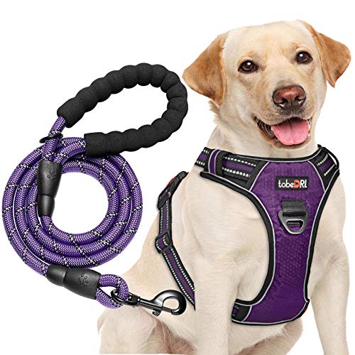 tobeDRI No Pull Dog Harness Adjustable Reflective Oxford Easy Control Medium Large Dog Harness with A Free Heavy Duty 5ft Dog Leash (M (Neck: 14.5"-20.5", Chest: 22"-28"), Purple Harness+Leash)