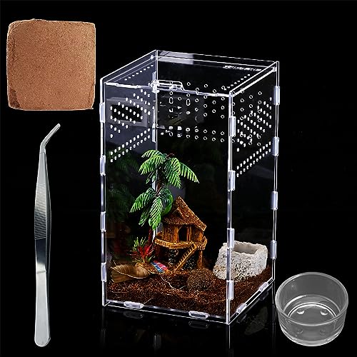 TREELF Micro Habitat Glass Container,Reptile Terrarium,Amphibian Tank Starter Kit（4pc Set） Ideal for Snails, Beetles, Spiders, Chameleons, Geckos, Scorpions(4.7 * 4.7 * 8 Inches)