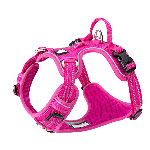 TRUE LOVE Dog Harness No Pull Nylon Reflective Pet Harness Adjustable Comfortable Control Step-in Brilliant Colors Truelove TLH56512 XS Fuchsia