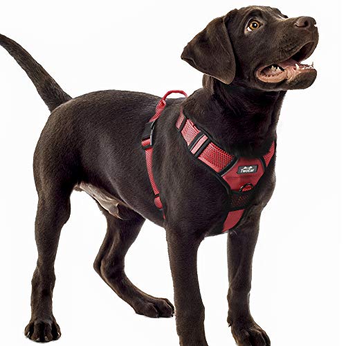 TwoEar Dog Harness, No Pull Reflective Harness Front Clip Easy Control Handle Adjustable Soft Padded Pet Vest for Puppy Small Medium Large Dogs Breed Pet(Large,Red)