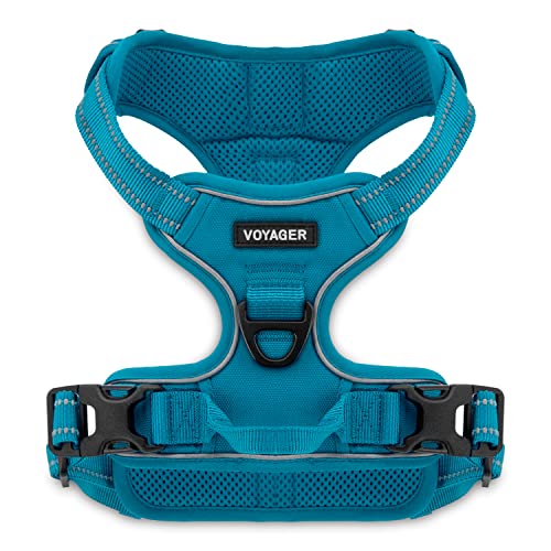 Voyager Dog Harness Dual Leash Attachment No-Pull Control Adjustable Soft but Strong Pet Harness for Medium and Large Dogs with 3M Reflective Technology - Turquoise, M (Chest: 20 - 25")