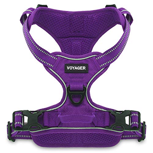 Voyager Dog Harness Dual Leash Attachment No-Pull Control Adjustable Soft but Strong Pet Harness for Medium and Large Dogs with 3M Reflective Technology - Purple Lattice, M (Chest: 20 - 25")