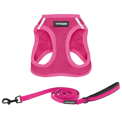 Voyager Step-in Air All Weather Mesh Harness and Reflective Dog 5 ft Leash Combo with Neoprene Handle, for Small, Medium and Large Breed Puppies by Best Pet Supplies - Leash Harness (Fuchsia), M