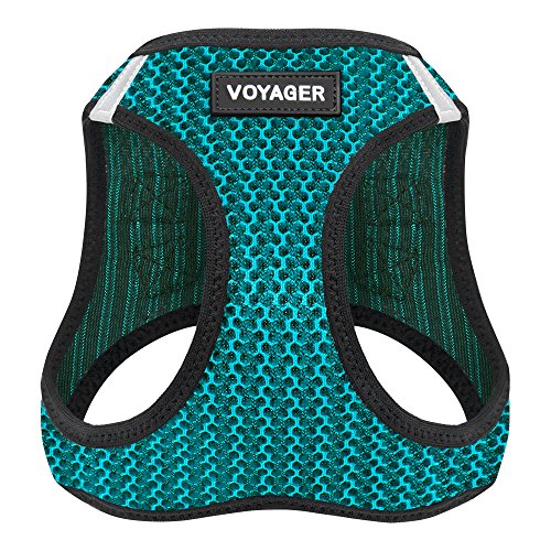 Voyager Step-in Air Dog Harness - All Weather Mesh Step in Vest Harness for Small and Medium Dogs by Best Pet Supplies - Turquoise (2-Tone), L