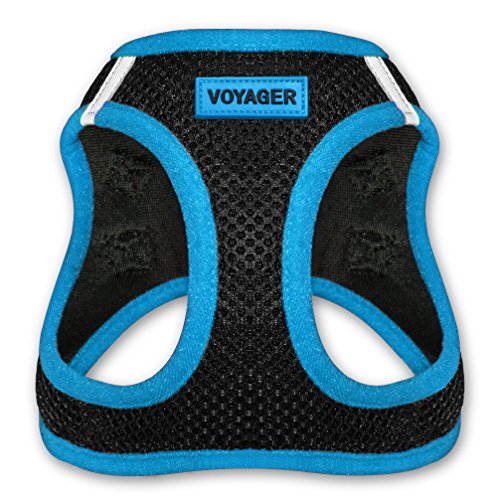 Voyager Step-In Air Dog Harness - All Weather Mesh Step in Vest Harness for Small and Medium Dogs by Best Pet Supplies - Blue, Large