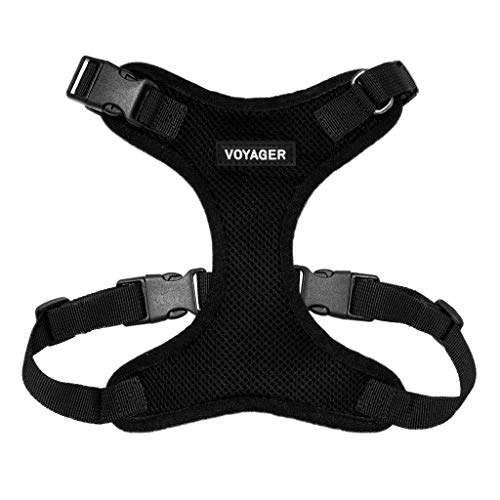 Voyager Step-in Lock Pet Harness - All Weather Mesh, Adjustable Step in Harness for Cats and Dogs by Best Pet Supplies - Black, M