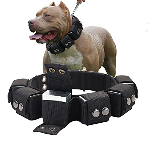 Walktime, Dog Collar, Tactical Dog Collar, Weighted Dog Collar with Weights for Dog Training and Exercise Equipment - Free Weights, Small, Medium, Large Dogs