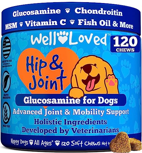 Well Loved Glucosamine for Dogs - Joint Supplement for Dogs, Made in USA, Vet Developed, Dog Joint Supplement, Glucosamine Chondroitin for Dogs, Advanced Hip and Joint Chews with MSM, Pain Relief, 120