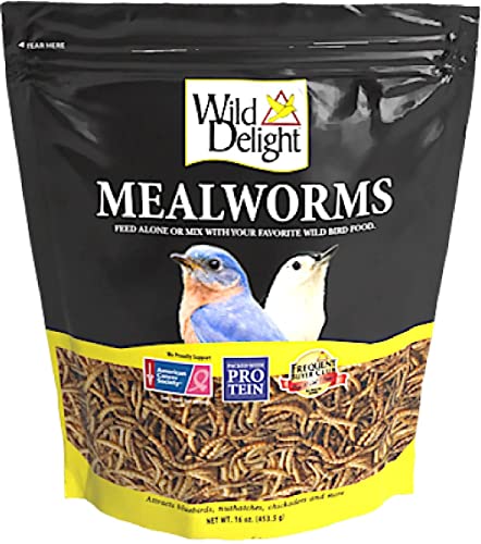 Wild Delight Mealworms Wild Bird Food, 16 oz Bag, Brown