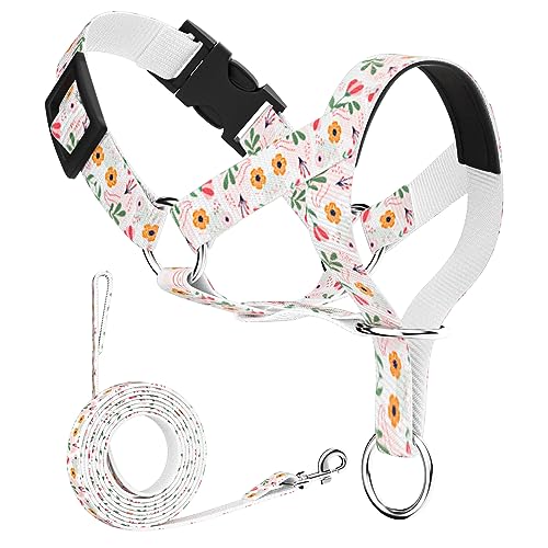 wintchuk Dog Head Collar for Easy and Gentle Harness Walks, for Small Medium Large Dogs with Fashionable Patterned(M,Pink)