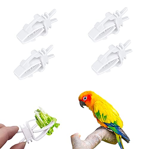 WishLotus Bird Cage Feeding Clips, 4 PCS Plastic Durable Parrot Fruit Vegetable Clips Bird Cage Food Holder Mini Bird Cage Feeder for Pet Birds and Parrot Feeding Bird Cage Accessories (A)