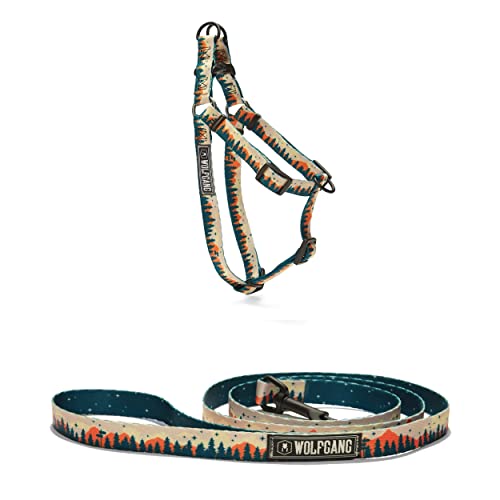 Wolfgang Premium USA Webbing Dog Leash and Harness Set, Overland Print, Small