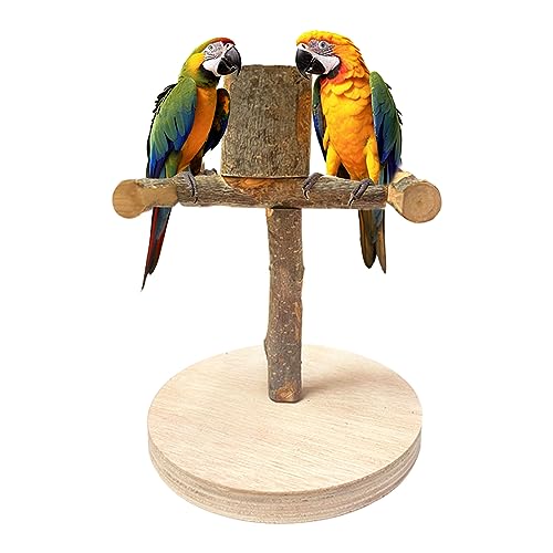 WQY Groceryshop Bird Stand Tabletop, Portable Tee Stand, Parrot Play Stand Perch Gym with 1 Cup(Drinker and Feeder) for Parrots Parakeets Canaries Cockatiels Conure Lovebirds