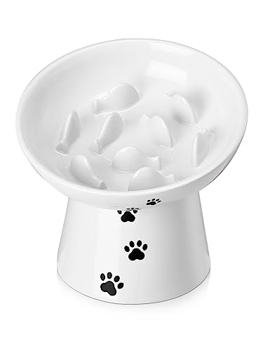 Y YHY Cat Slow Feeder, 6 Inches Cat Food Bowl Elevated Dog Slow Feeder Bowl Ceramic Cat Bowl Anti Vomiting for Dry and Wet Food, White