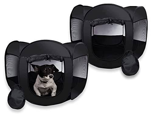 Chain Link Dog Kennel With Top