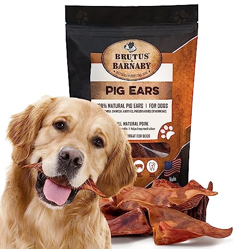 100% Natural Whole Pig Ear Dog Treat - 12 Pack Our Healthy Pig Ears Are Easy To Digest, Chemical & Hormone Free Thick Cut For Aggressive Chewers, Great Small Or Large Dogs