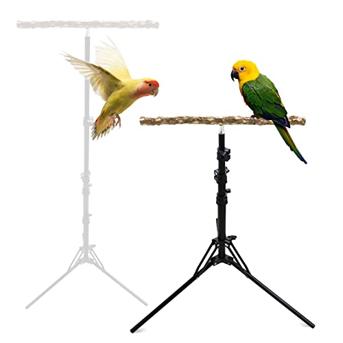 16-63 Inch Height Adjustable Bird Perch Stand, Natural Pepper Wood Parrot Perch Toy, Bird Training Perch Stand, Indoor and Outdoor Bird Stands for Small to Medium Bird