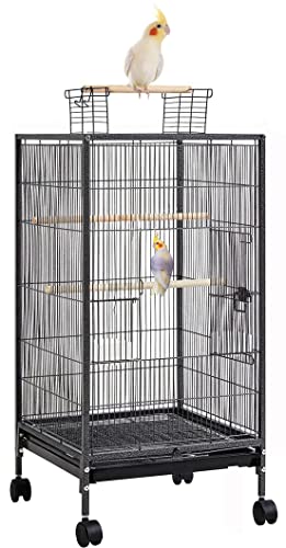 36-Inch Deluxe Sturdy Wrought Iron Bird Flight Open Play Top Cage with Rolling Stand for Parrots Conure Lovebird Cockatiel