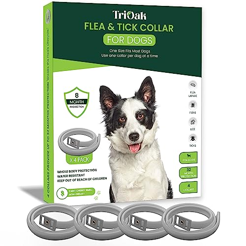 4 Pack Flea Collar for Dogs, Flea and Tick Collar for Dogs, One Size for All-Gray