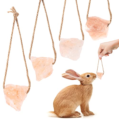 4 Pack Himalayan Small Pets Lick Salt Block on Rope- Natural Small Animal Mineral Salt Chew Toys with Rope, Small Pet Chew Treat Supplies for Guinea Pig Rabbits Bunny Ferrets