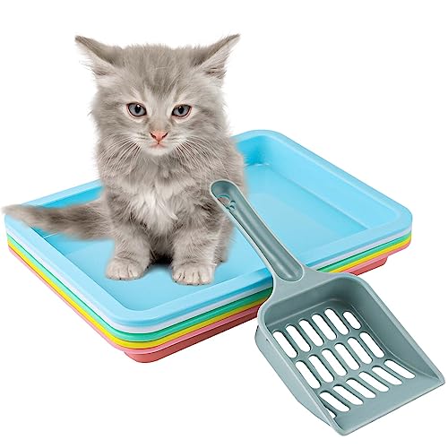 5pcs Kitten Litter Box, Small Cat Litter Box with Litter Spatula Shallow Litter Pan Plastic Litter Tray Portable Cat Waste Tray Kitten Boxes for Indoor Cats Low Entry (5 Colors)