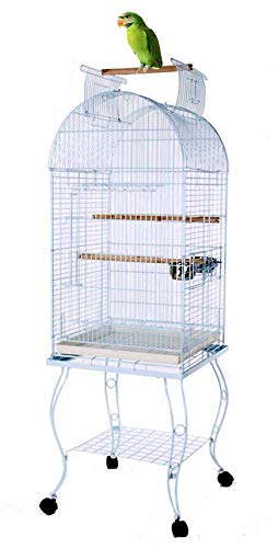 64-Inch Open Dome Top Bird Parrot Cage with Rolling Standing for Cockatiels Sun Conures Parakeets Conures Quaker Green Cheek