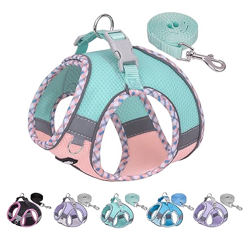 AIITLE Dog Harness and Leash Set,No Pull Step in Puppy Harness with Super Breathable Mesh, Reflective Adjustable Pet Harness for Outdoor Walking, Training for Small Dogs, Cats Turquoise-Pink XS