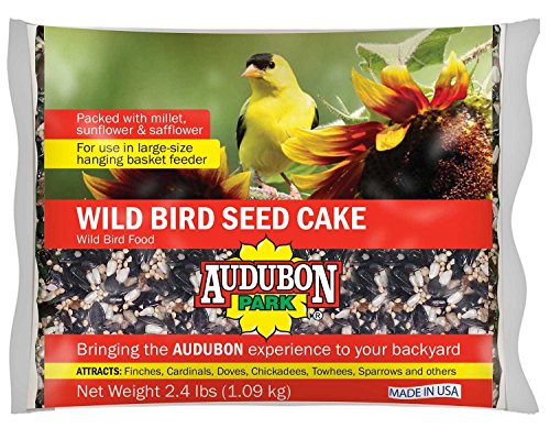 Audubon Park 11930 Wild Bird Food Seed Cake, 2.4 Pounds