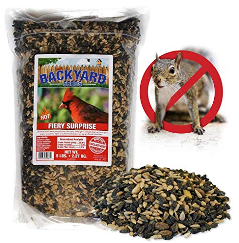 Backyard Seeds Fiery Surprise Hot Pepper Flavored Bird Seed Blend 5 Pounds