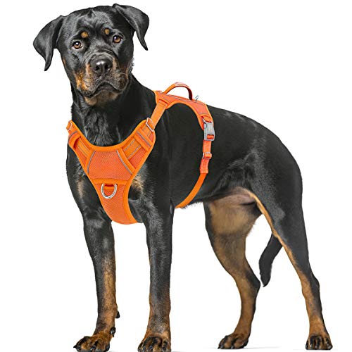 BARKBAY No Pull Dog Harness Large Step in Reflective Dog Harness with Front Clip and Easy Control Handle for Walking Training Running with ID tag Pocket(Orange,XL)