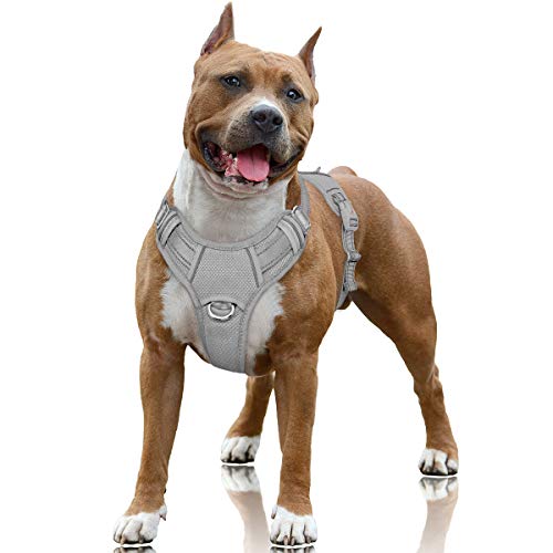 BARKBAY No Pull Dog Harness Large Step in Reflective Dog Harness with Front Clip and Easy Control Handle for Walking Training Running with ID tag Pocket(Grey,L)