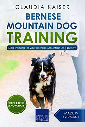Bernese Mountain Dog Training: Dog Training for your Bernese Mountain puppy