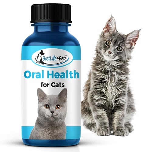 BestLife4Pets Oral Health for Cats - Cat Dental Care Supplement Anti inflammatory Pain Relief for Stomatitis Gingivitis and Gum Disease Cat Supplies for Dental Care - Easy to Use Pills