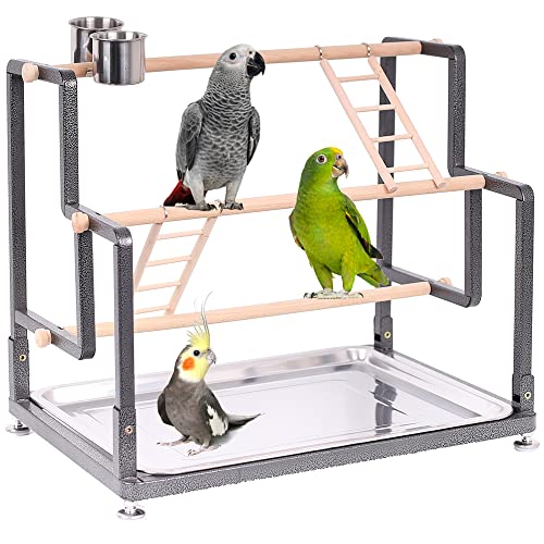 Bird Playground, Playstand for Small to Large Birds with Collapsible Metal Frame, Heavy Duty Quick-Install No Tool Request, 4 Standing Perch, 2 ladders and 2 Bird Cups