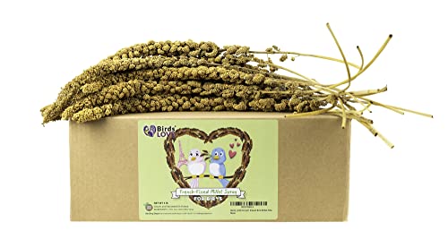 Birds LOVE French Kissed Millet for Cockatiel, Lovebirds, Parakeet, Finches, Canary and All Birds | Healthy Treat for Parrorts | GMO-Free Millet - Free from Pesticides and Additives - 5lb