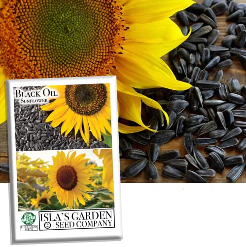 "Black Oil" Sunflower Flower Seeds for Planting, 150+ Flower Seeds Per Packet, (Isla's Garden Seeds), Non GMO & Heirloom Seeds, Scientific Name: Helianthus annuus, Great Flower Garden Gift