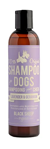 Black Sheep Organics Lavender & Geranium Shampoo for Itchy Dogs with Coconut Oil and Olive Oil- Gentle and Relaxing Natural Ingredients-Made in Canada