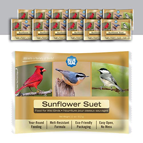 Blue Seal Sunflower Bird Suet Cake | No Mess Wild Bird Suet | 11 oz (12 Pack)