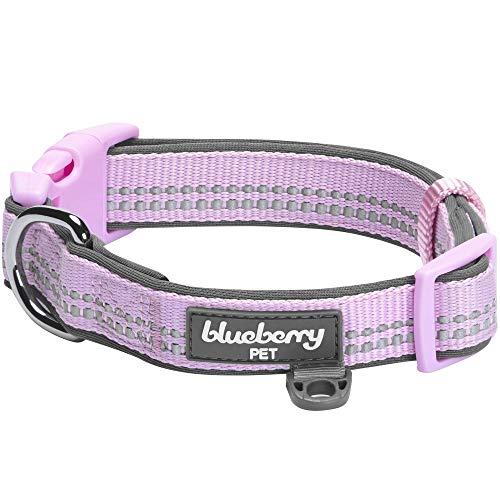 Blueberry Pet Soft & Safe 3M Reflective Neoprene Padded Adjustable Dog Collar - Lavender Pastel Color, Small, Neck 12"-16"