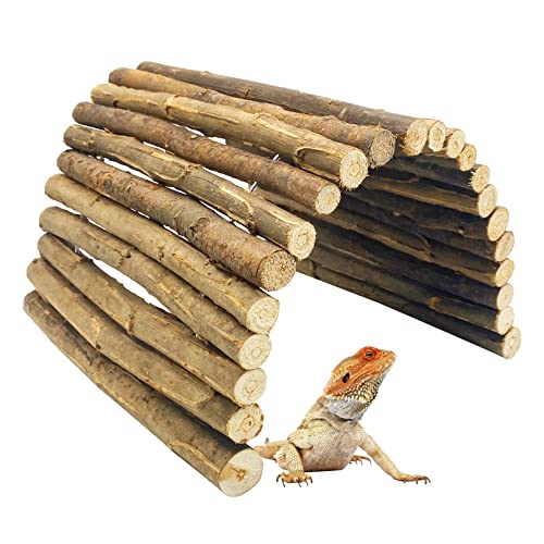 BNOSDM 13.78’’ x 20’’ Reptile Hideout Wooden Bridge Lizard Hide Caves Bearded Dragon Habitat Accessories for Gecko Snake Frog Chameleon Iguana Tortoise