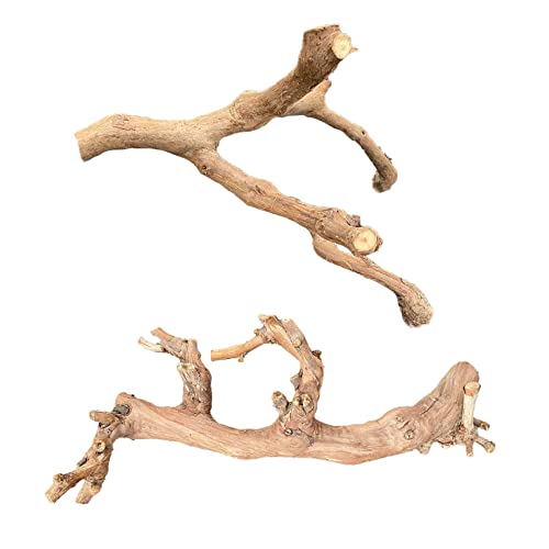 BNOSDM Reptile Wood Branches Decor Lizard Habitat Decoration Terrarium Tree Trunk Ornament for Bearded Dragon Gecko Snake Frog Chameleon Spider 2PCS