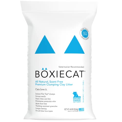 Boxiecat Premium Clumping Clay Cat Litter, Scent Free, 40lbs - Longer Lasting Odor Control - Hard, Non Stick Clumps - Stays Ultra Clean - 99.9% Dust Free