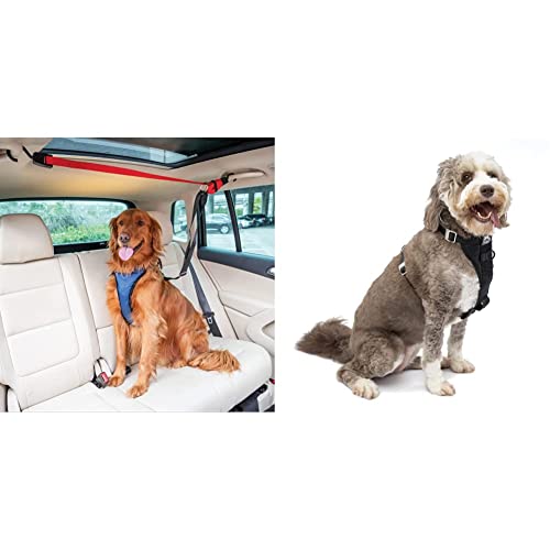 Bundle of PetSafe Happy Ride Dog Zipline - Back Seat Leash + Kurgo Tru-Fit Enhanced Strength Dog Harness, Crash Tested Car Safety Harness for Dogs, Front D-Ring for No Pull Training, L, Black