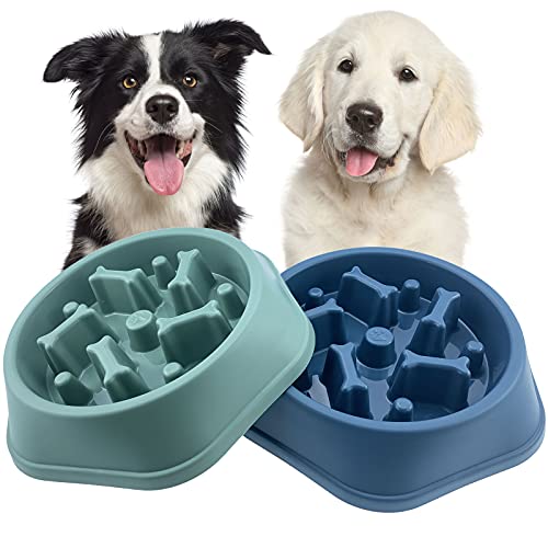 CAISHOW Slow Feeder Dog Bowl Anti Gulping Healthy Eating Interactive Bloat Stop Fun Alternative Non Slip Dog Slow Food Feeding Pet Bowl Slow Eating Healthy Design for Small Medium Size Dogs