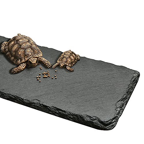 Cakocaco Tortoise Basking Platform, Bathing Area, Reptile Pet Resting Terrace, Turtle Feeding Bowl Dish, Rock Slab Easy to Grind Nails (2 Pieces)