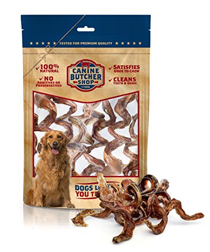 Canine Butcher Shop Bully Stick Spirals/Springs Raised & Made in USA, (Pack of 6), Odor Free, All-Natural Dog Chews, Treats