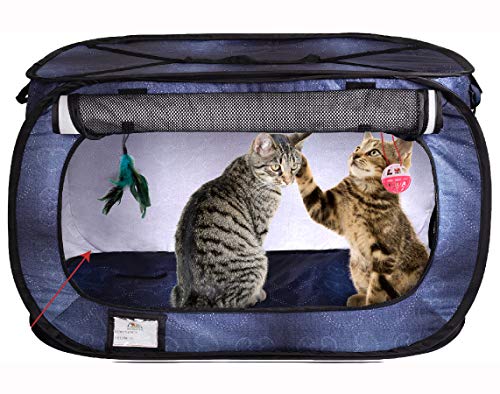 Cat Crate, Stress Free Travel Cat Kennel, Portable Indoor Outdoor Pet Crate, Cat Cage Condo Includes Storage Bag, 4 Cat Toys